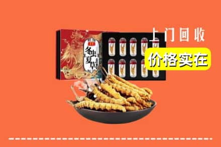 阿坝州回收冬虫夏草