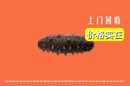 阿坝州回收海参